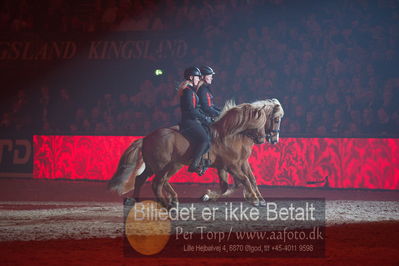 Dansk varmblod hingstekåring.
galashow
