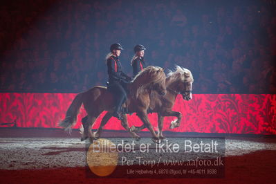 Dansk varmblod hingstekåring.
galashow
