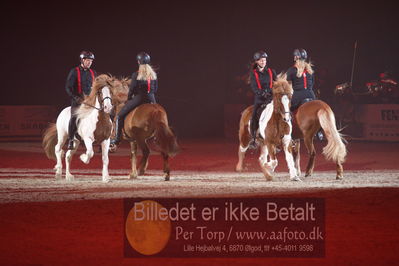 Dansk varmblod hingstekåring.
galashow
