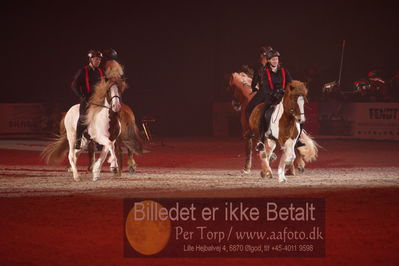 Dansk varmblod hingstekåring.
galashow
