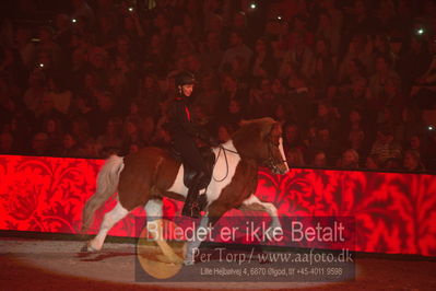 Dansk varmblod hingstekåring.
galashow
