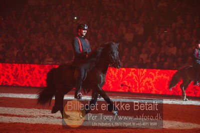 Dansk varmblod hingstekåring.
galashow
