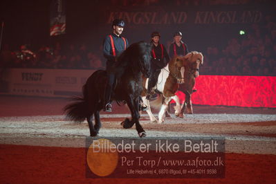 Dansk varmblod hingstekåring.
galashow
