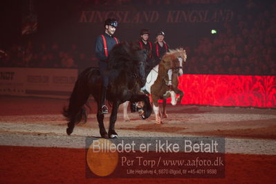 Dansk varmblod hingstekåring.
galashow
