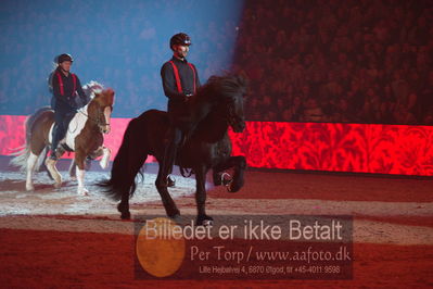 Dansk varmblod hingstekåring.
galashow
