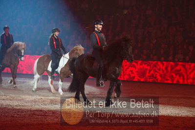 Dansk varmblod hingstekåring.
galashow
