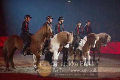 Dansk varmblod hingstekåring.
galashow
