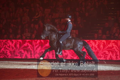 Dansk varmblod hingstekåring.
galashow
