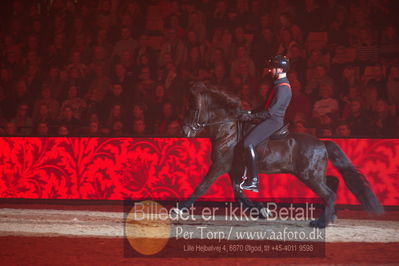 Dansk varmblod hingstekåring.
galashow
