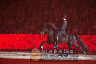 Dansk varmblod hingstekåring.
galashow
