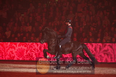 Dansk varmblod hingstekåring.
galashow
