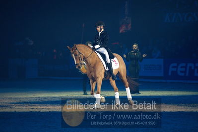 Dansk varmblod hingstekåring.
galashow
