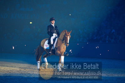 Dansk varmblod hingstekåring.
galashow
