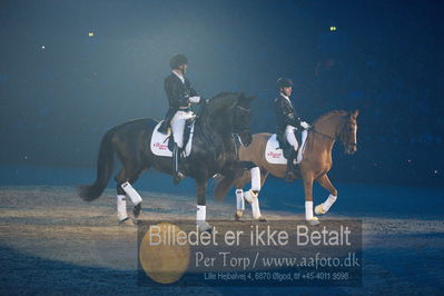 Dansk varmblod hingstekåring.
galashow
