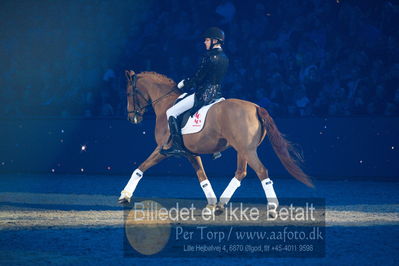 Dansk varmblod hingstekåring.
galashow
