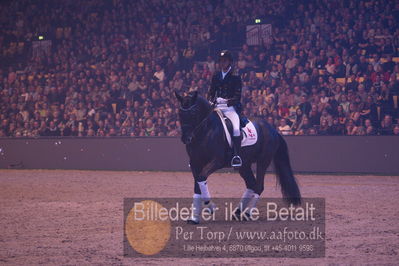 Dansk varmblod hingstekåring.
galashow
