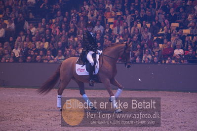 Dansk varmblod hingstekåring.
galashow
