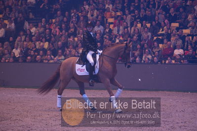 Dansk varmblod hingstekåring.
galashow
