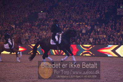 Dansk varmblod hingstekåring.
galashow
