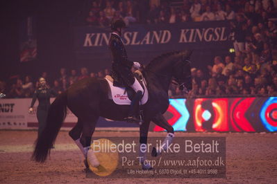 Dansk varmblod hingstekåring.
galashow
