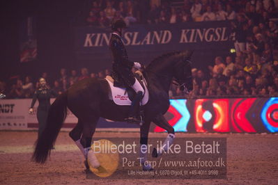 Dansk varmblod hingstekåring.
galashow
