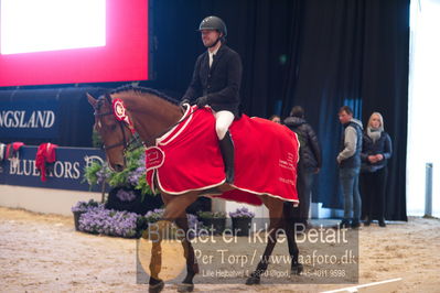 Dansk varmblod hingstekåring.
Nøgleord: alexander lundggard kjeldsen;up tp date;lap of honour
