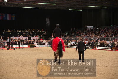 Dansk varmblod hingstekåring.
Nøgleord: alexander lundggard kjeldsen;up tp date;lap of honour