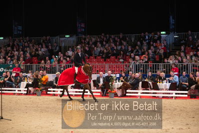 Dansk varmblod hingstekåring.
Nøgleord: alexander lundggard kjeldsen;up tp date;lap of honour