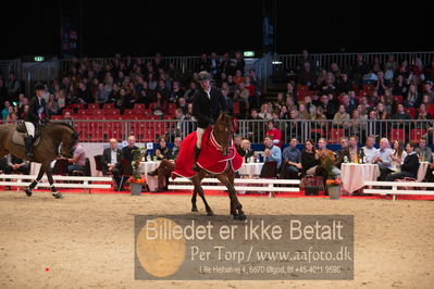 Dansk varmblod hingstekåring.
Nøgleord: alexander lundggard kjeldsen;up tp date;lap of honour