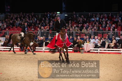 Dansk varmblod hingstekåring.
Nøgleord: alexander lundggard kjeldsen;up tp date;lap of honour