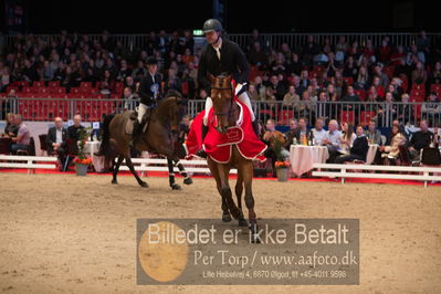 Dansk varmblod hingstekåring.
Nøgleord: alexander lundggard kjeldsen;up tp date;lap of honour