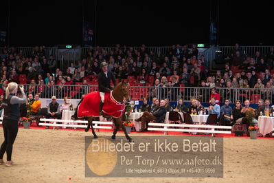 Dansk varmblod hingstekåring.
Nøgleord: alexander lundggard kjeldsen;up tp date;lap of honour