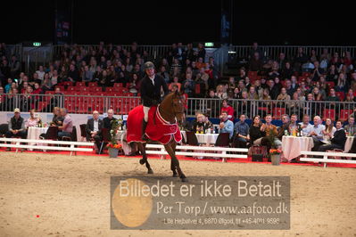 Dansk varmblod hingstekåring.
Nøgleord: alexander lundggard kjeldsen;up tp date;lap of honour