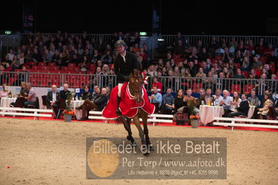 Dansk varmblod hingstekåring.
Nøgleord: alexander lundggard kjeldsen;up tp date;lap of honour