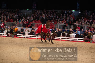 Dansk varmblod hingstekåring.
Nøgleord: alexander lundggard kjeldsen;up tp date;lap of honour