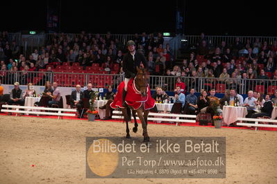 Dansk varmblod hingstekåring.
Nøgleord: alexander lundggard kjeldsen;up tp date;lap of honour