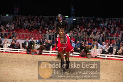 Dansk varmblod hingstekåring.
Nøgleord: alexander lundggard kjeldsen;up tp date;lap of honour