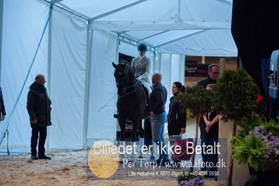 Dansk varmblod hingstekåring.
Nøgleord: skovens rafael;lotte skjaerbaek