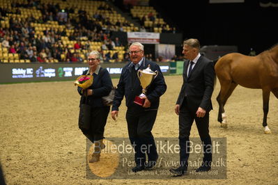 Dansk varmblod hingstekåring.
Nøgleord: vong's brunello;jan pedersen;bjarne petersen