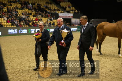 Dansk varmblod hingstekåring.
Nøgleord: vong's brunello;jan pedersen;bjarne petersen