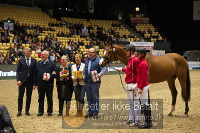 Dansk varmblod hingstekåring.
Nøgleord: vong's brunello;brian bech hansen;bjarne petersen;jan pedersen