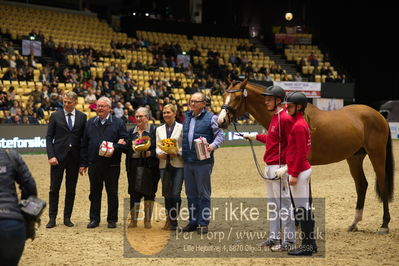 Dansk varmblod hingstekåring.
Nøgleord: vong's brunello;brian bech hansen;bjarne petersen;jan pedersen