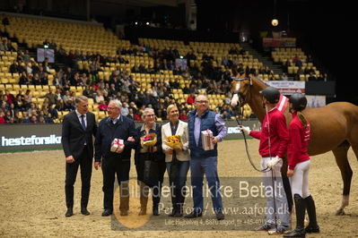 Dansk varmblod hingstekåring.
Nøgleord: vong's brunello;brian bech hansen;bjarne petersen;jan pedersen