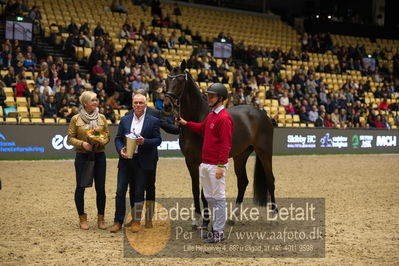 Dansk varmblod hingstekåring.
Nøgleord: vong's brunello;brian bech hansen;bjarne petersen;jan pedersen