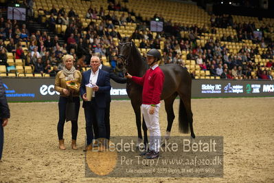 Dansk varmblod hingstekåring.
Nøgleord: vong's brunello;brian bech hansen;bjarne petersen;jan pedersen