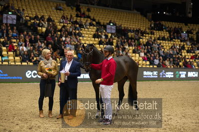 Dansk varmblod hingstekåring.
Nøgleord: vong's brunello;brian bech hansen;bjarne petersen;jan pedersen