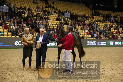 Dansk varmblod hingstekåring.
Nøgleord: vong's brunello;brian bech hansen;bjarne petersen;jan pedersen