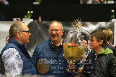 Dansk varmblod hingstekåring.
Nøgleord: brian bech hansen;bjarne petersen