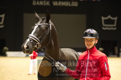 Dansk varmblod hingstekåring.
Nøgleord: anders hoeck;prinssese bennedikte;hesselhøj skyfall