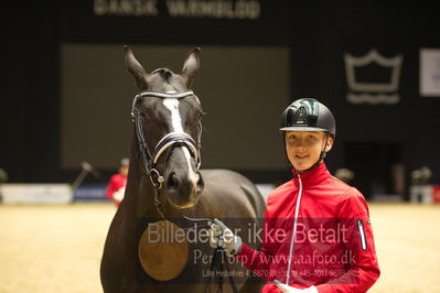 Dansk varmblod hingstekåring.
Nøgleord: anders hoeck;prinssese bennedikte;hesselhøj skyfall